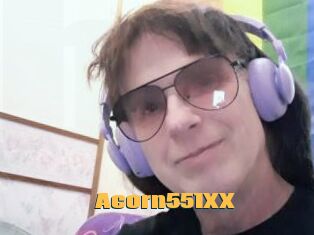 Acorn551XX
