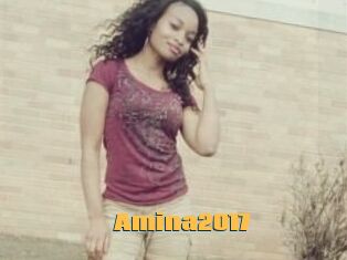 Amina2017