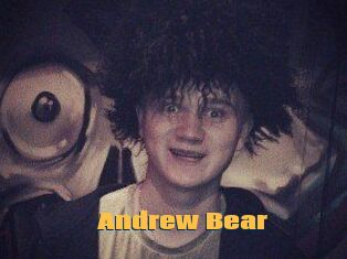 Andrew_Bear