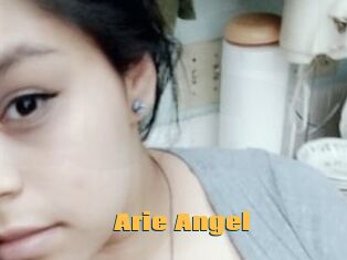 Arie_Angel