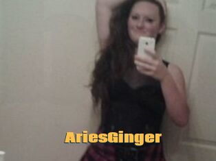 AriesGinger