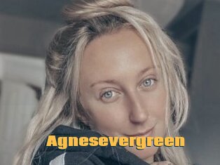 Agnesevergreen