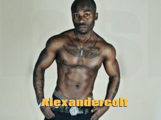 Alexandercolt