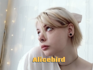Alicebird