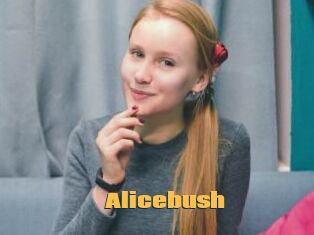 Alicebush