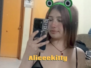 Aliceekitty