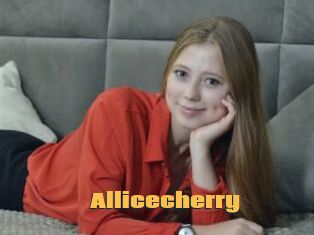 Allicecherry