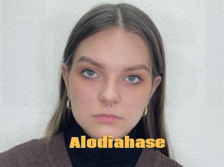 Alodiahase
