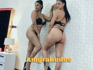 Amyrakudos