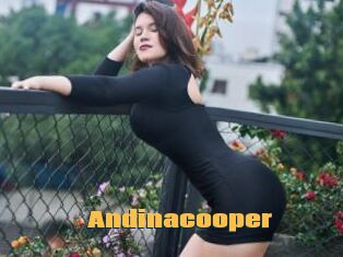 Andinacooper