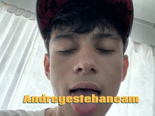 Andreyestebancam