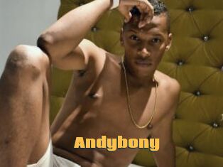 Andybony