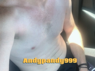 Andypandy999