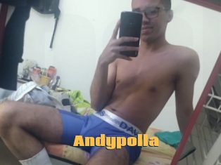Andypolla