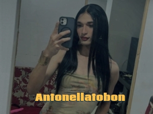 Antonellatobon