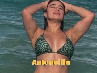Antonellla