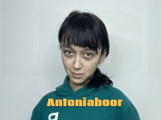 Antoniaboor