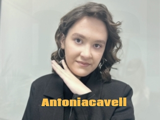 Antoniacavell