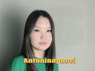 Antoninapucci