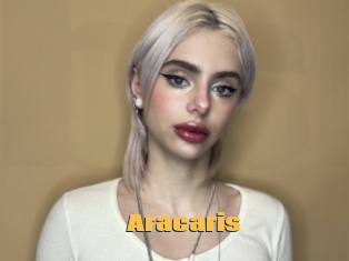 Aracaris