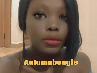 Autumnbeagle