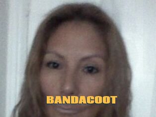 BANDACOOT