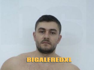 BIGALFREDXL