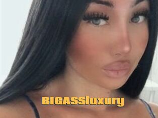 BIGASSluxury