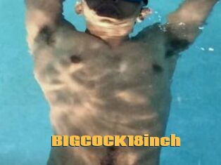 BIGCOCK18inch