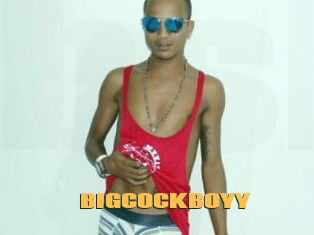BIGCOCKBOYY