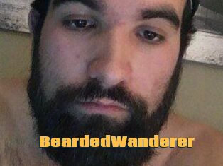 BeardedWanderer