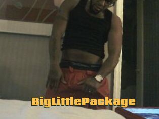 BigLittlePackage