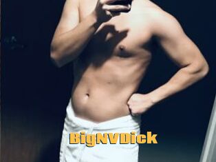 BigNVDick