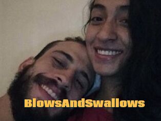 BlowsAndSwallows