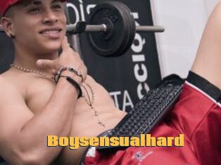 Boysensualhard