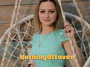 BurningOfLovee
