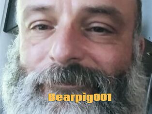 Bearpig001