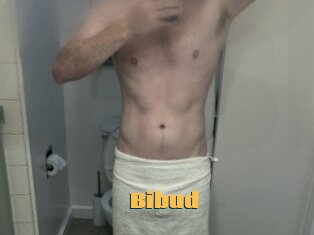 Bibud