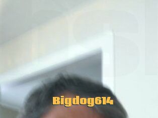 Bigdog614
