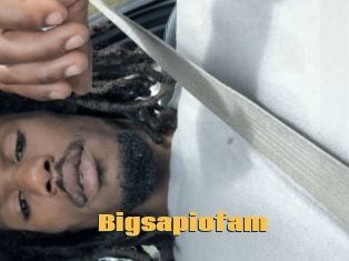Bigsapiofam