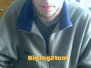 Bigtoy21cm