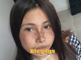 Bleydys