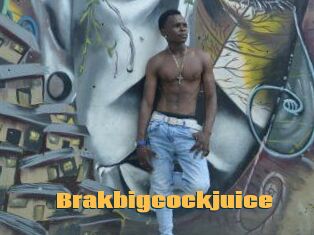 Brakbigcockjuice