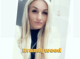 Brandyweed