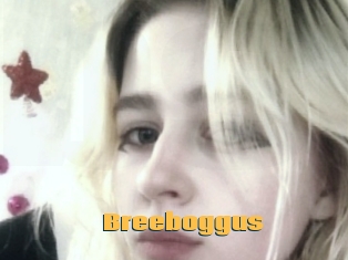Breeboggus
