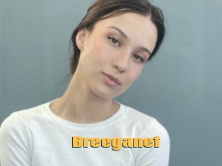 Breeganet