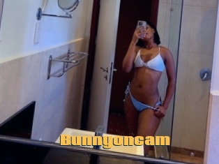 Bunnyoncam