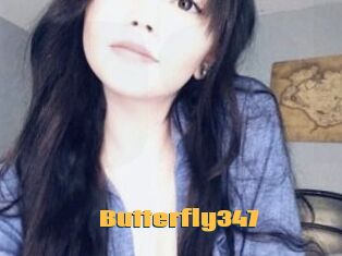 Butterfly347