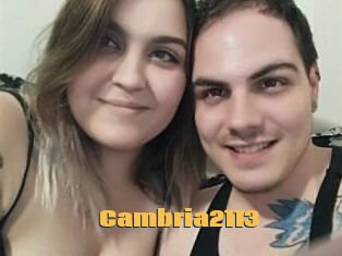 Cambria2113