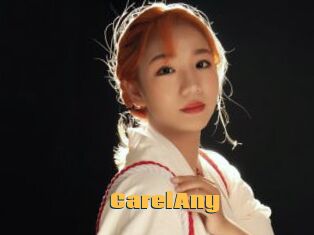 CarelAny